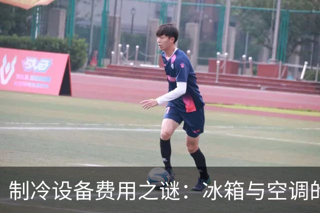 制冷设备费用之谜：冰箱与空调的较量