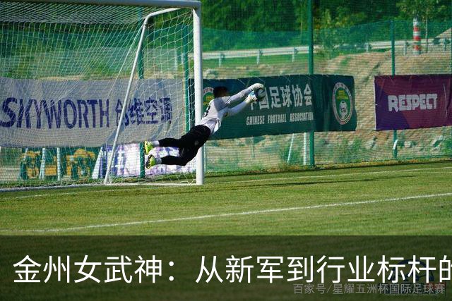 金州女武神：从新军到行业标杆的辉煌崛起